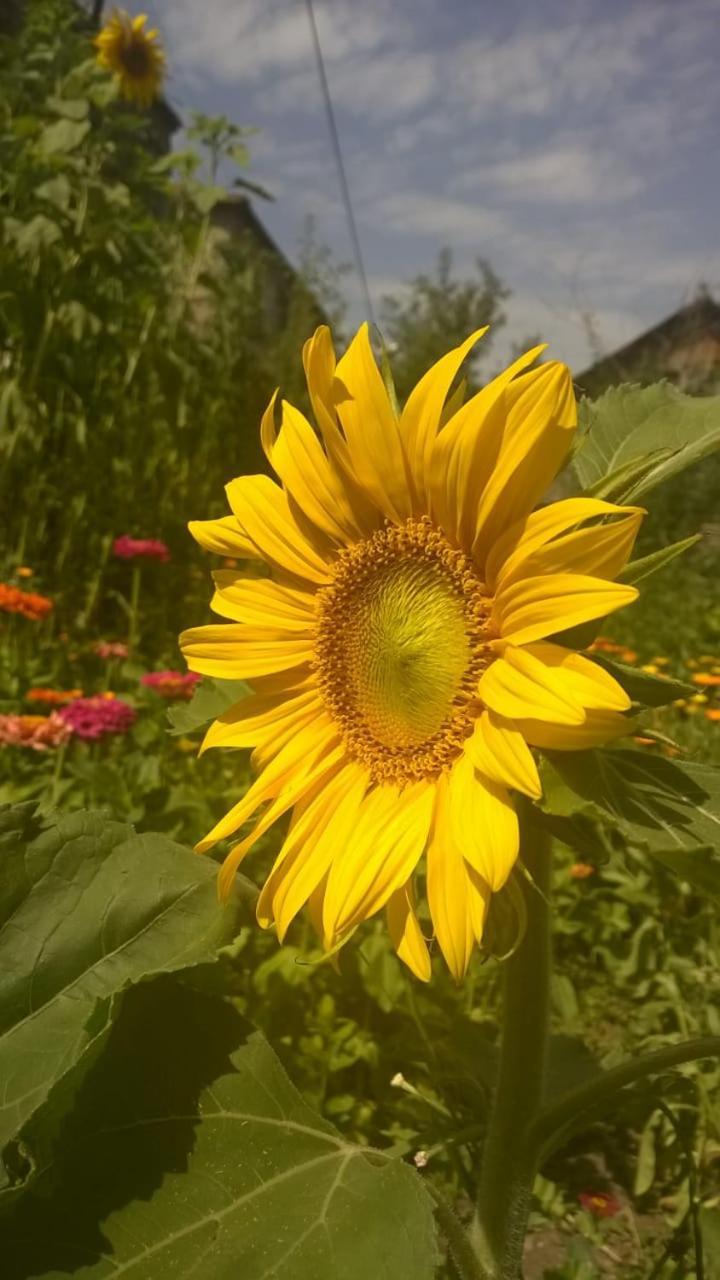 Ojakh Dilijan Bagian luar foto
