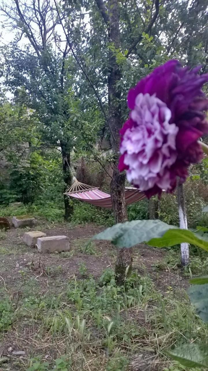 Ojakh Dilijan Bagian luar foto